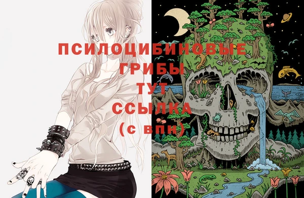 a pvp Арсеньев