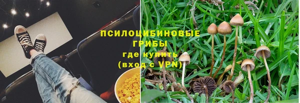 a pvp Арсеньев