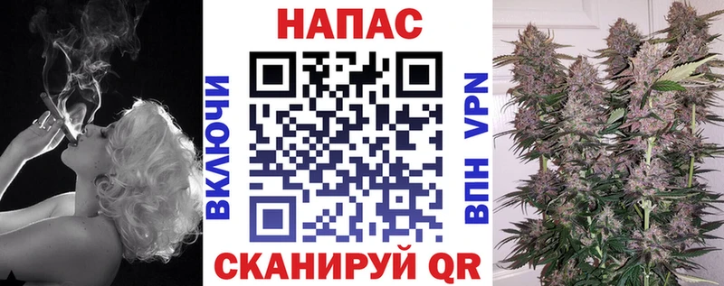 МАРИХУАНА сатива  Теберда 